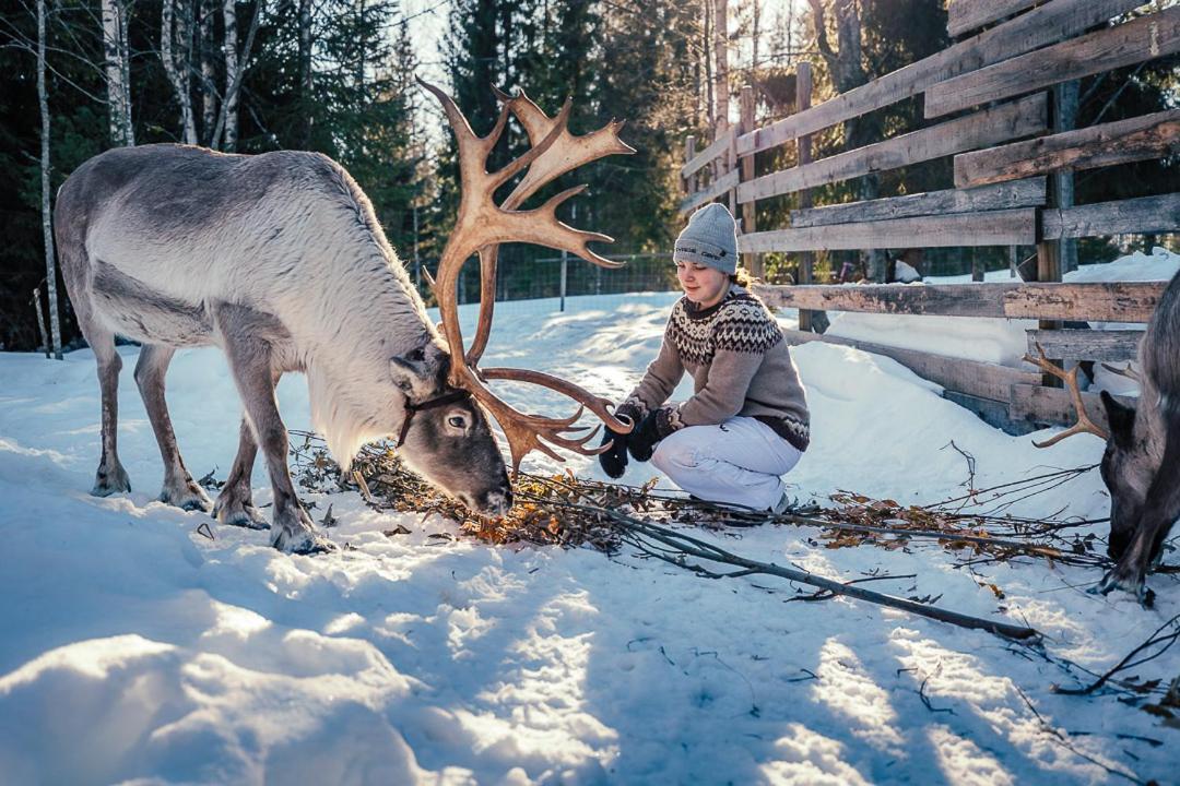 Valkeisen Loma Villa Ähtäri Eksteriør bilde