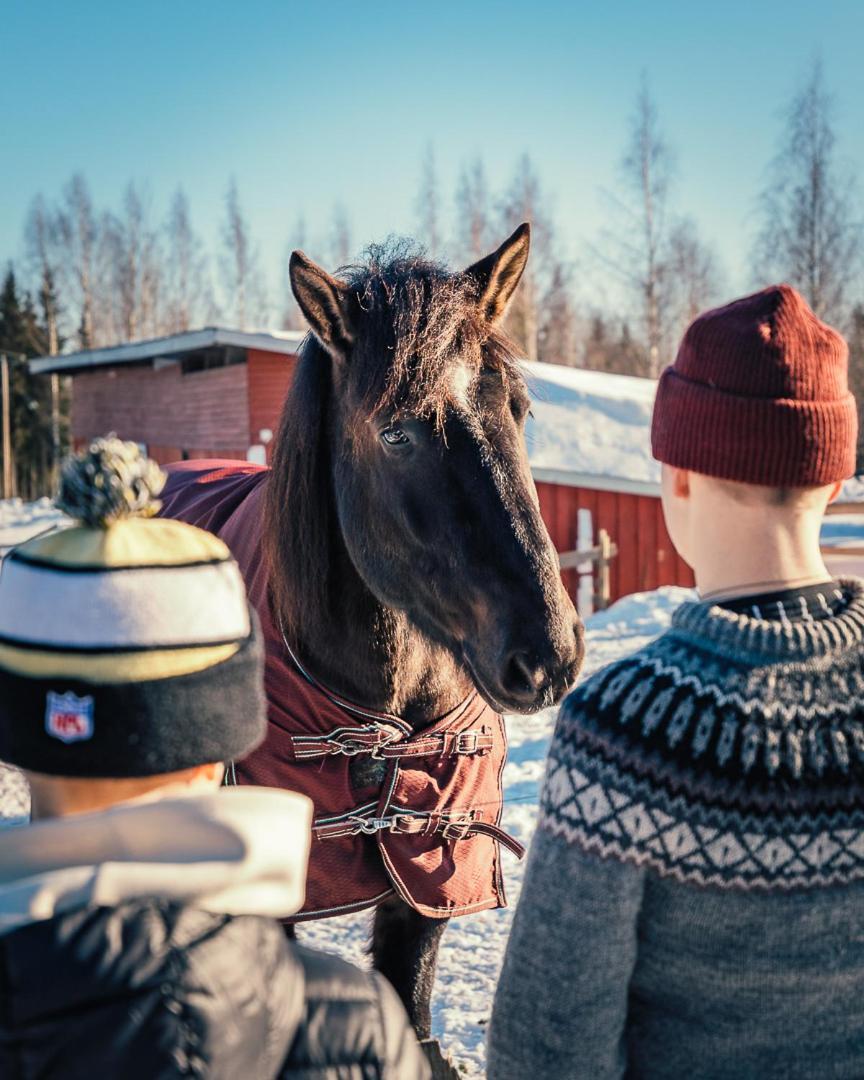 Valkeisen Loma Villa Ähtäri Eksteriør bilde